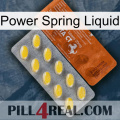 Power Spring Liquid 42